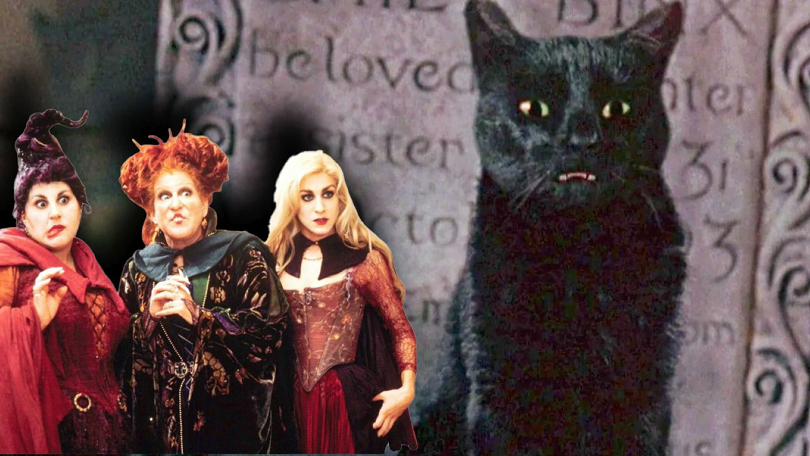 Thackery Binx 怎麼可能回到「Hocus Pocus 2」？