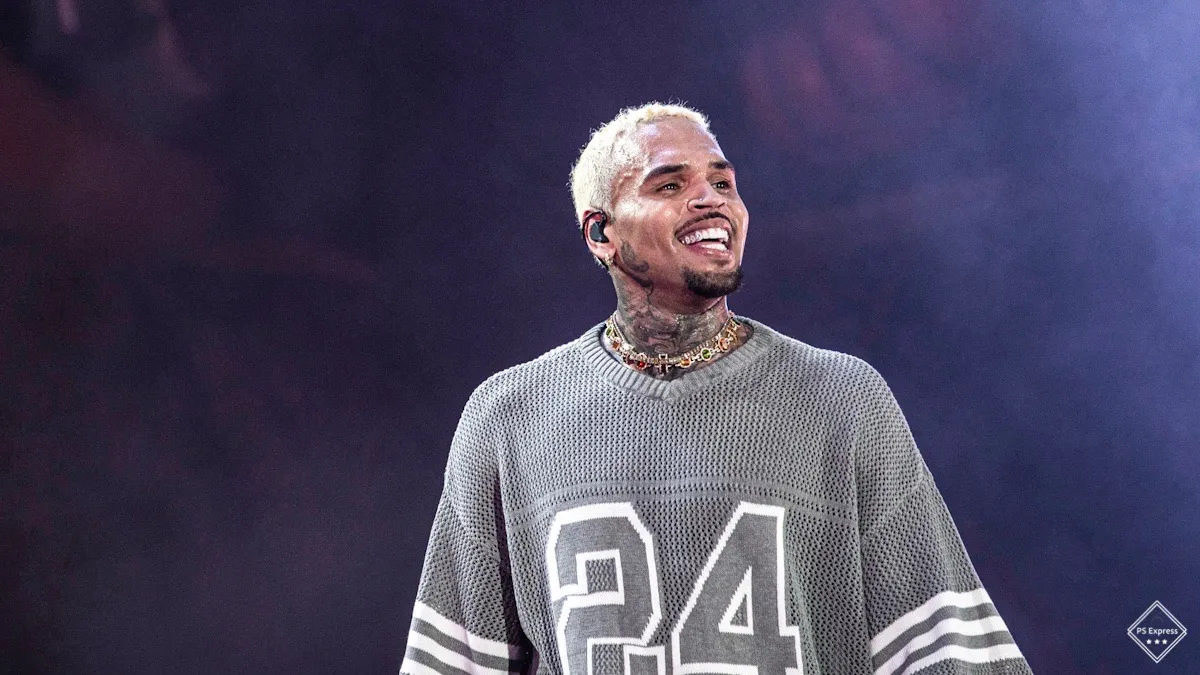 Chris Brown tuyên bố bộ phim tài liệu về anh ta đã lan truyền những cáo buộc sai trái về những hành vi tàn ác, bao gồm cả SA, và giờ anh ta đang kiện đòi 500 triệu đô la