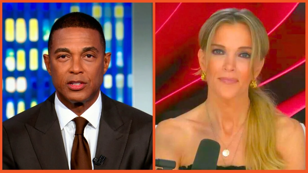 唐·檸檬（Don Lemon）在MSNBC Exodus上發表了痛苦的評論，為Megyn Kelly有3個選擇單詞